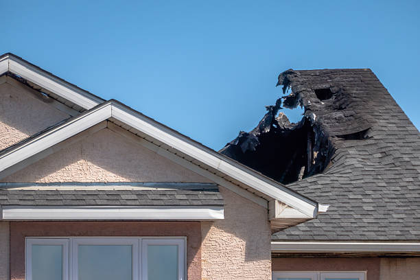 Licensed Odor Removal service in Woodville, FL - Fire Damage Laser Cleaning